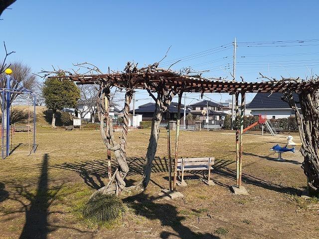 諏訪公園：10m