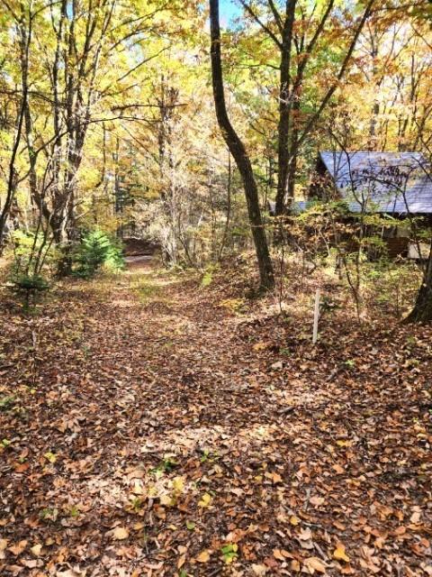  大字鎌原鬼の泉水