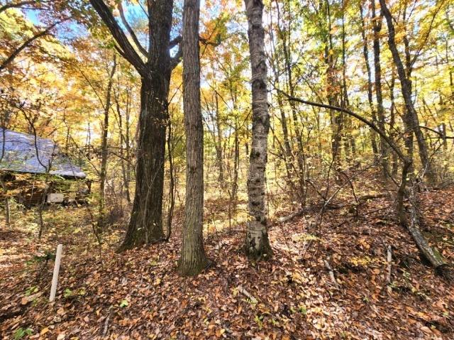  大字鎌原鬼の泉水