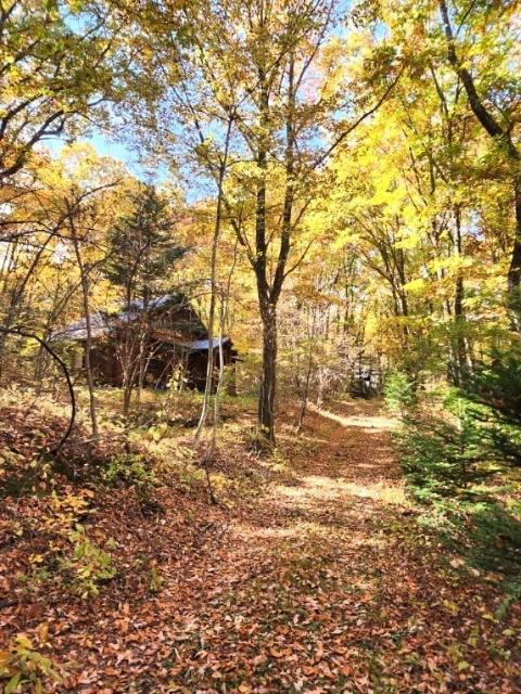  大字鎌原鬼の泉水