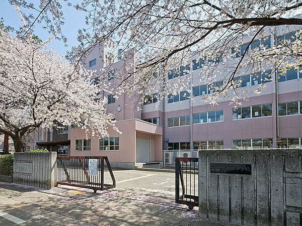 中学校