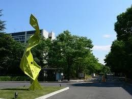 大学