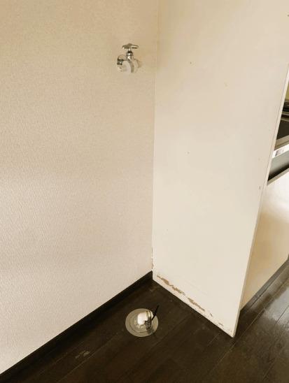 ベルハウス50（102） 部屋画像