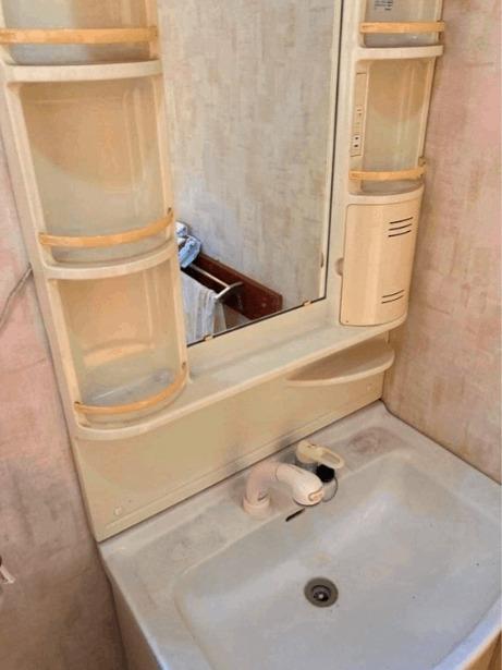 ひばりが丘北戸建（0） 洗面