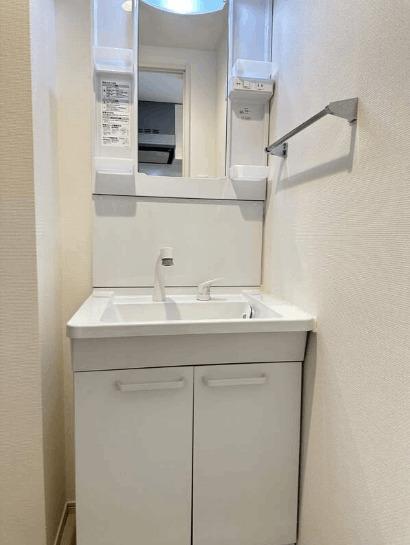 リブリ・Y’s グランデ小川西町（203） 洗面