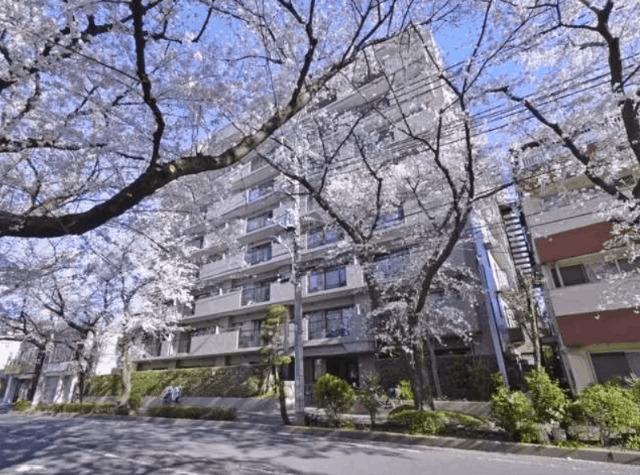 ナイスアーバン久米川 外観
