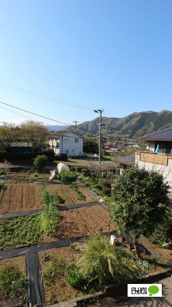 ＳＵＮＳＨＩＮＥシャトー 部屋画像