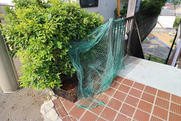 葵ハイツ 物件画像