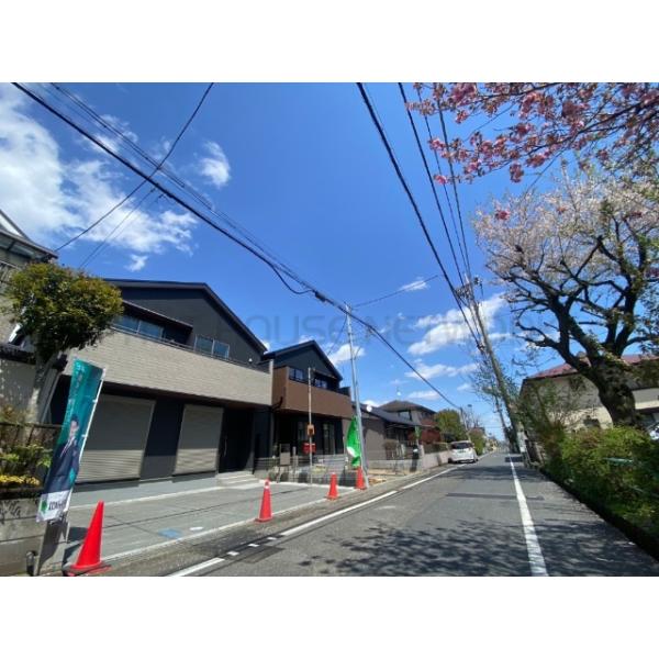 ◇■道路向かいには桜の木が■◇