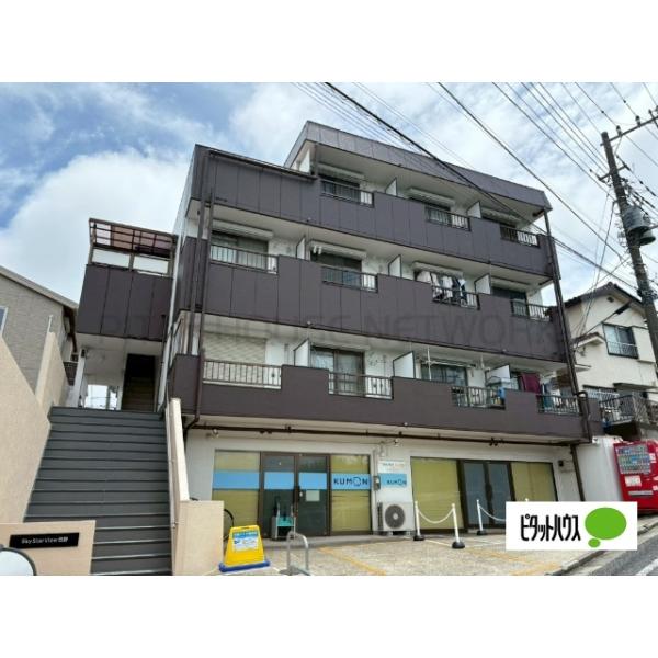 SkyStarView日野