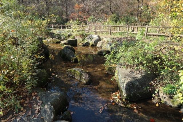 公園