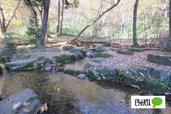 「ピタットハウス豊田駅前店」豊田第３コーポラス　 物件画像