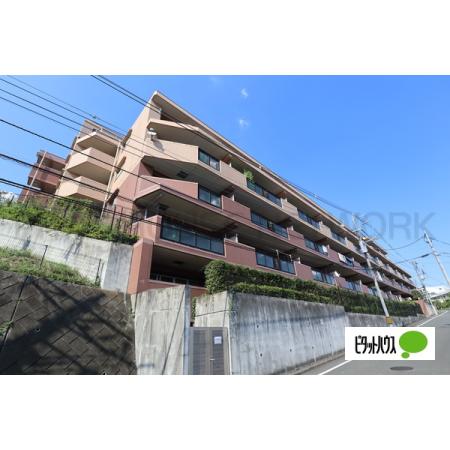 陽当たり良好・日中室内大変明るいです。