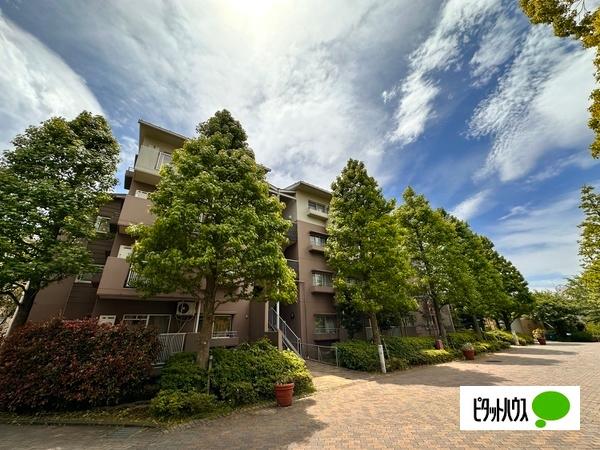 南大沢学園五番街　 物件画像