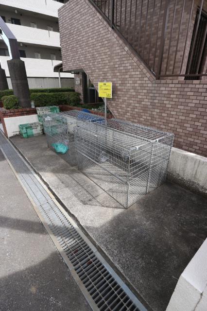 日神パレステージ豊田 物件画像