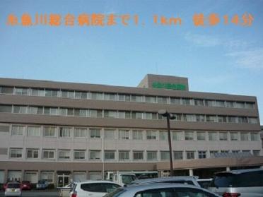糸魚川総合病院：1100m