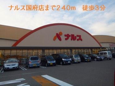 ナルス国府店：240m