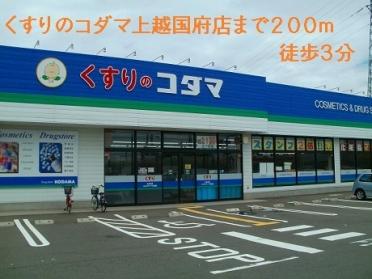 くすりのコダマ上越国府店：200m