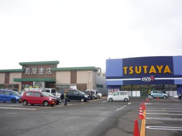 ＴＳＵＴＡＹＡ上越インター店：350m