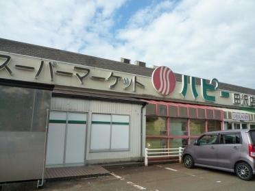 ハピ—　田沢店：1000m