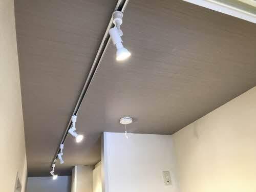 コスモスⅠ（102） その他