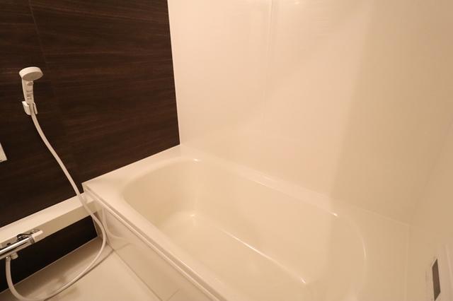 シャインピークス上越妙高　Ｃ（205） 部屋画像