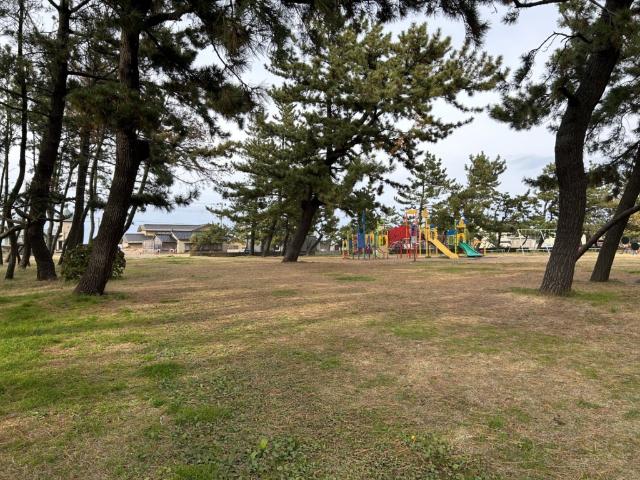 commercial 東雲町２丁目