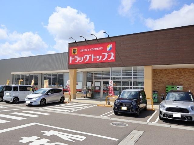ドラッグ・トップス土橋店：369m