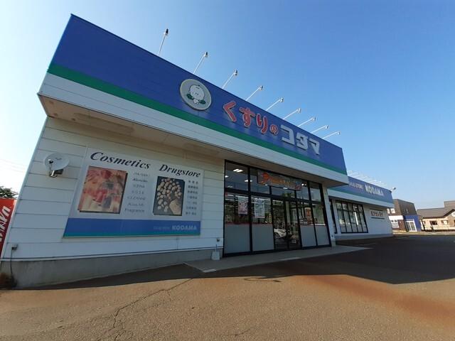 くすりのコダマ上越鴨島店：400m