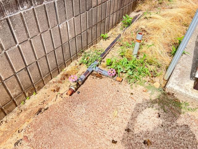 ラビットハウスムーンライト 物件画像