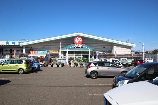 コメリハード＆グリーン大潟店