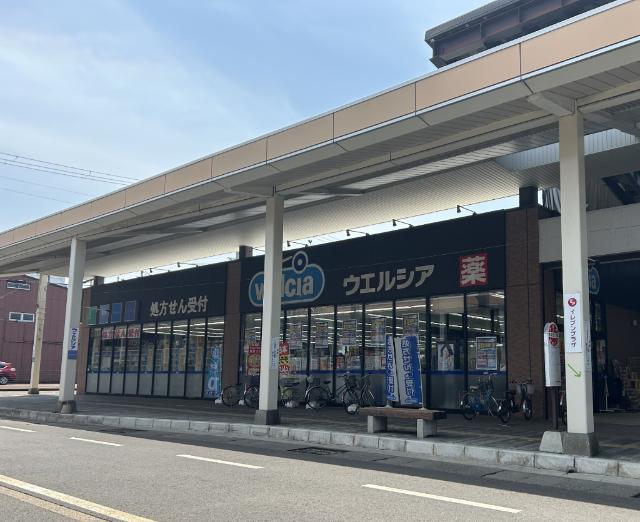 ドラックストア