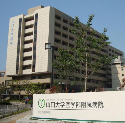 山口大学医学部附属病院：976m