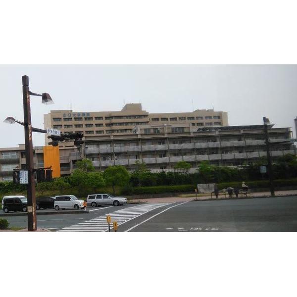 山口大学医学部附属病院:2252m