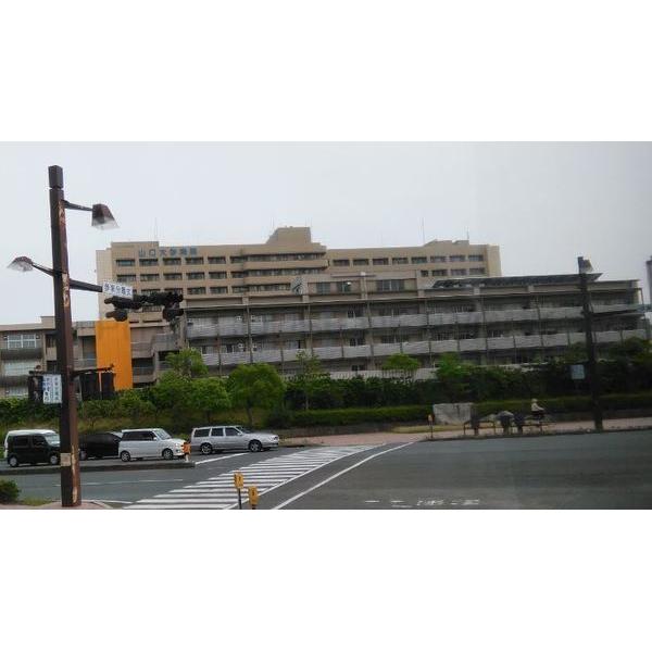 山口大学医学部附属病院:878m