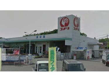 コメリハード＆グリーン厚狭店：237m