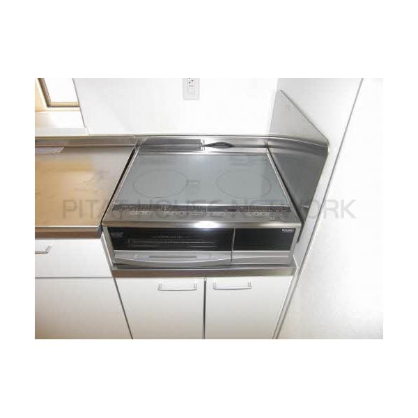 イメージ(左右反転)