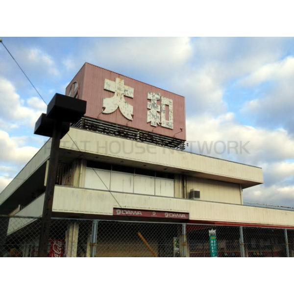 大和:1100m