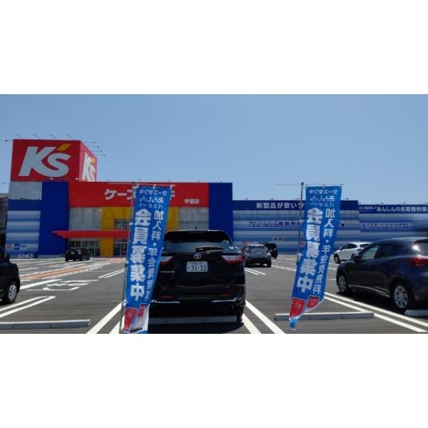 ケーズデンキ宇部店:480m