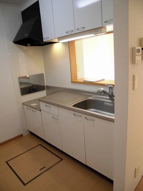 ビッグアイランドハーヴェストＢ（105） キッチン