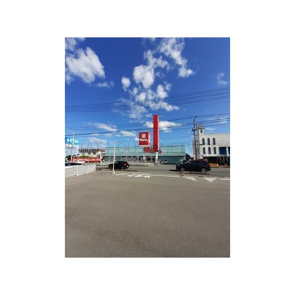 ウォンツ:1400m