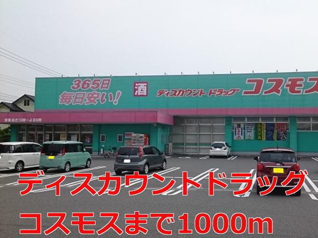 ディスカウントドラッグコスモス：1100m