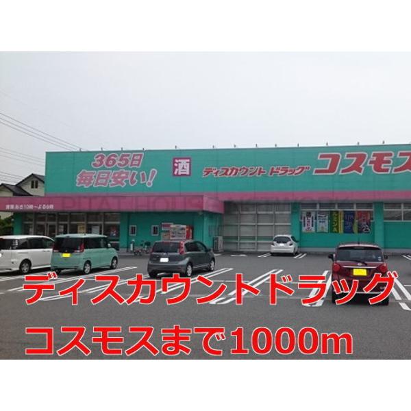 ディスカウントドラッグコスモス:1100m