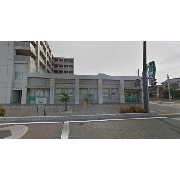 山口銀行東新川支店:319m