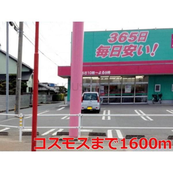 コスモス:1600m