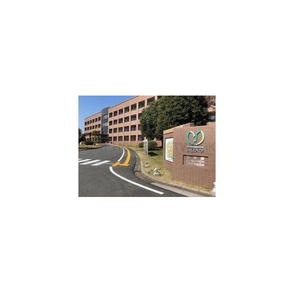 国立山口大学工学部:2386m