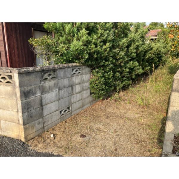 南東側境界ブロック塀・植栽