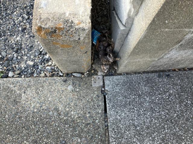 宇部市東岐波西半谷土地 土地画像