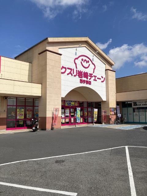 クスリ岩崎チェーン西宇部店