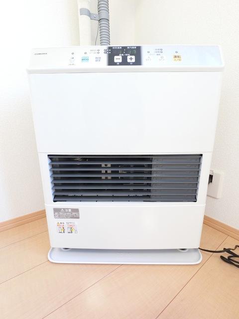 グレイスⅠ（101） 部屋画像